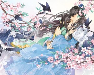夜色影视最新版